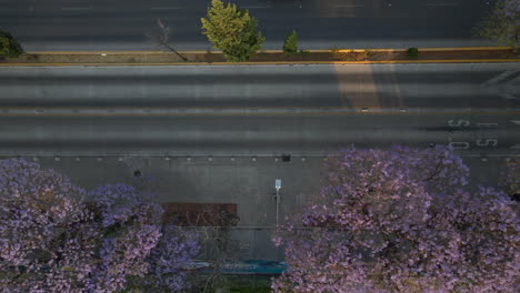 overhead view cyclist ride, vehicles drive by pedestrians walk on lane in capital mexico city traffic
