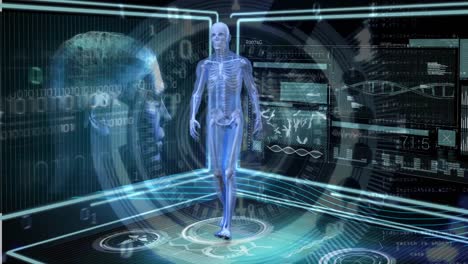 anatomía humana caminando