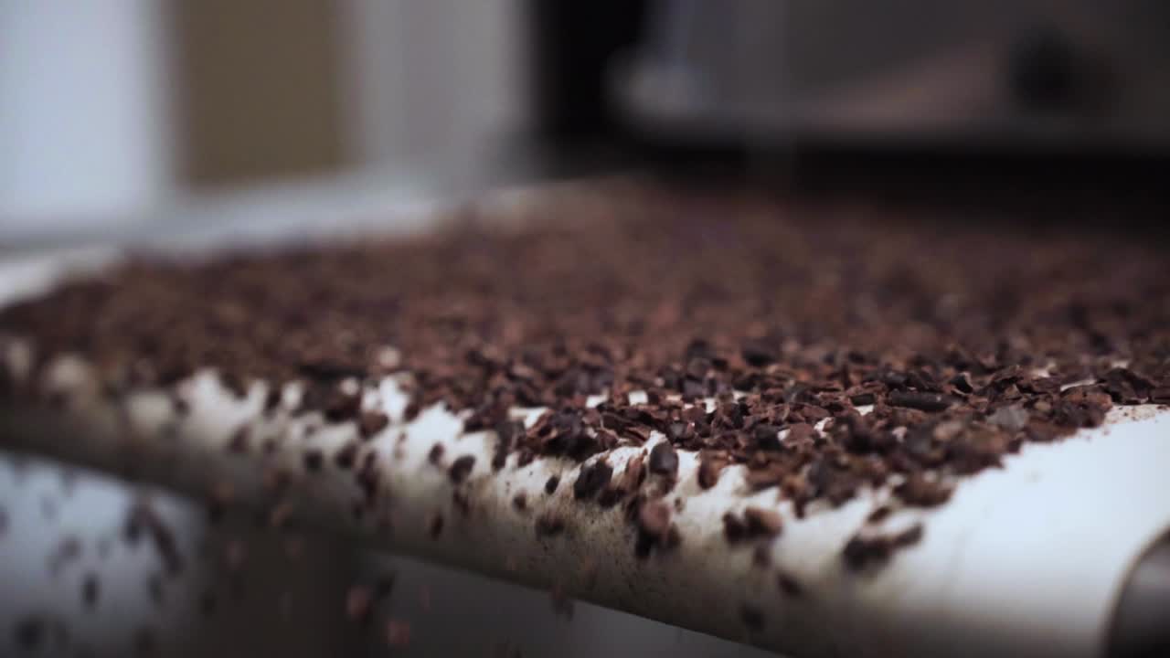 Cocoa Nibs Moving on a Conveyor Belt in Chocolate Production