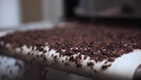 cocoa nibs moving on a conveyor belt in chocolate production