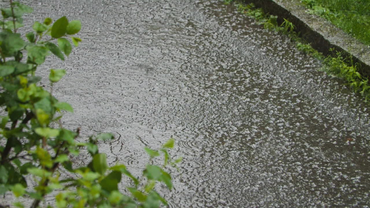 슬로모션 300fps에서 비가 내리고 있습니다.