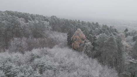 Invierno-En-Polonia,-Szczecin