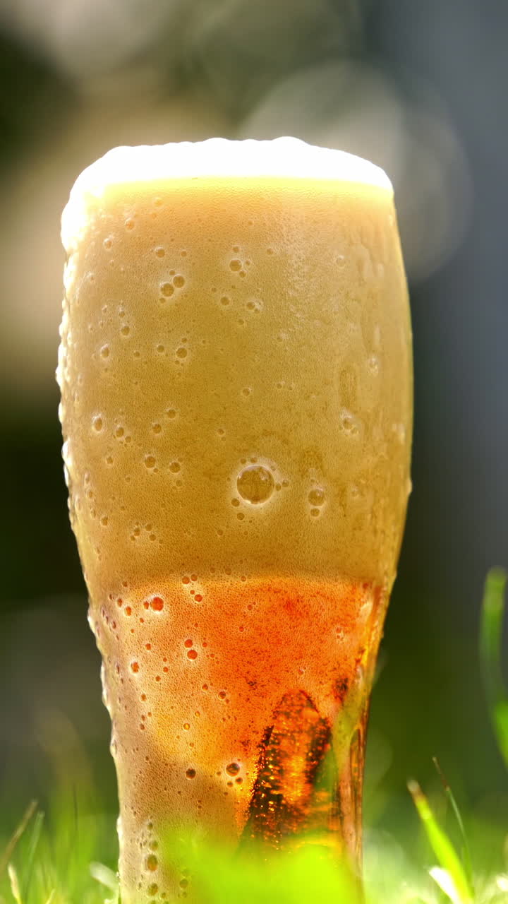 White foam from fresh beer is pouring over the glass outdoors. Full glass of cold beer with foam stands on green grass in summer. Close-up. Vertical video