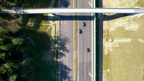 drone bird's eye view rises above multi lane highway next to coniferous forest and grassy hill