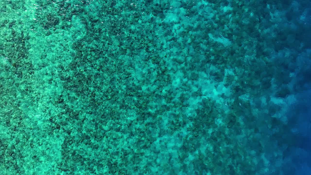바다 산호초의 경사에서 깊은 파란색으로, 공중에서 위에서 아래로 정적