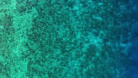 ocean reef gradient from fringing to deep blue, aerial top down static