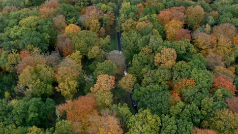 Un-Camino-Rural-Que-Atraviesa-Bosques-Otoñales-Visto-Desde-El-Aire,-Worcestershire,-Inglaterra