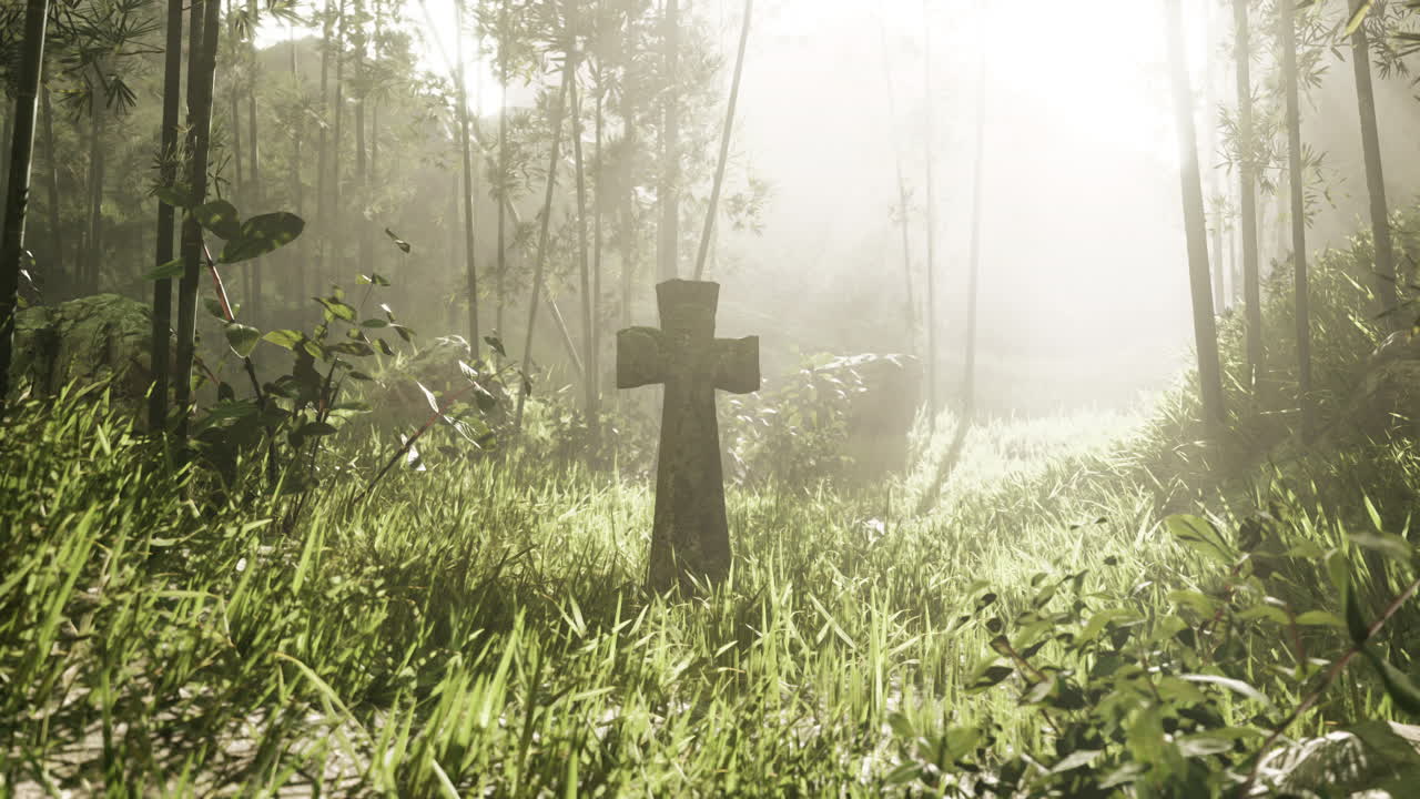 안개 인 대나무 숲 속 의 돌 십자가