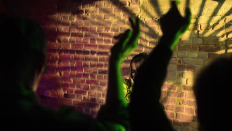 woman djing at the disco