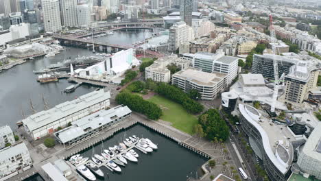 aerial view of sydney harbour and city