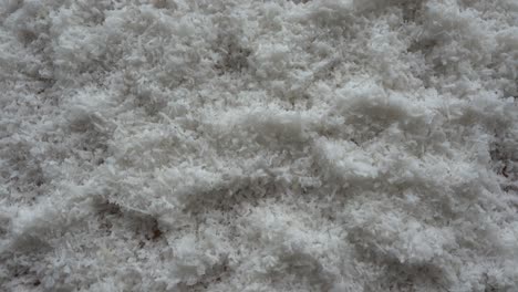 grated coconut flakes. nut natural dietary ingredient