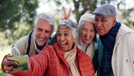 group of senior citizens taking a selfie in the park