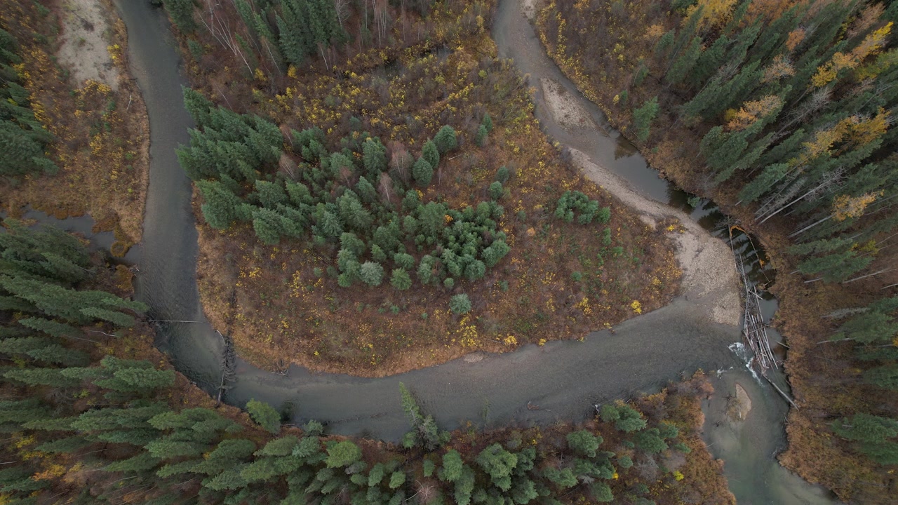 Luftfoto ovenfra af et hesteskoformet sving i Chena-floden, Alaska, med smukke efterårsfarver