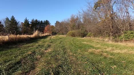 Sicht-Vom-Heck-Des-Geländewagens-Durch-Den-Wald-Und-An-Einem-Feld-Entlang-Auf-Eine-Lichtung