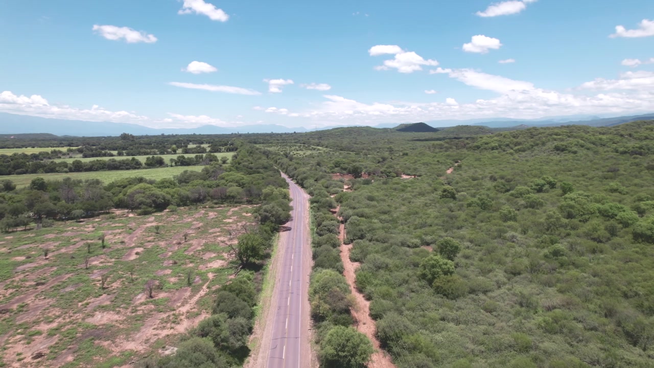 Vista aerea con drone 4K della strada panoramica per Cafayate, Salta, Argentina. Paesaggio verde lussureggiante con alberi che circondano il percorso attraverso le splendide Valli Calchaquí.