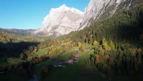 Grindelwald,-switzerland:-aerial-view-over-pine-forest-with-autumn-colors-and-the-white-mountains-in-the-background