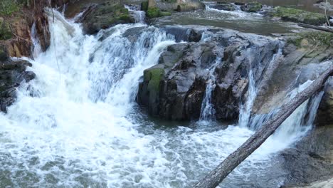 las caídas de agua del pabellón de savannah rapids, vista delantera