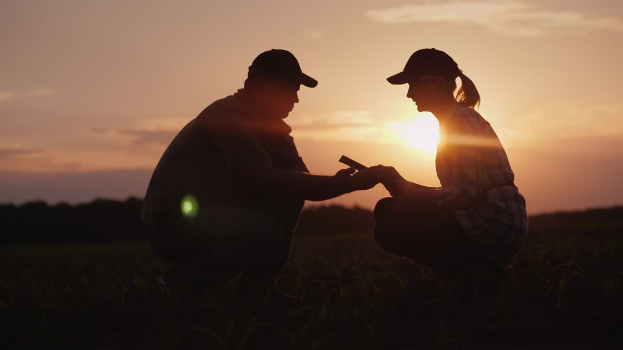 los agricultores trabajan en el campo hasta tarde. siluetas de hombres y mujeres agricultores
