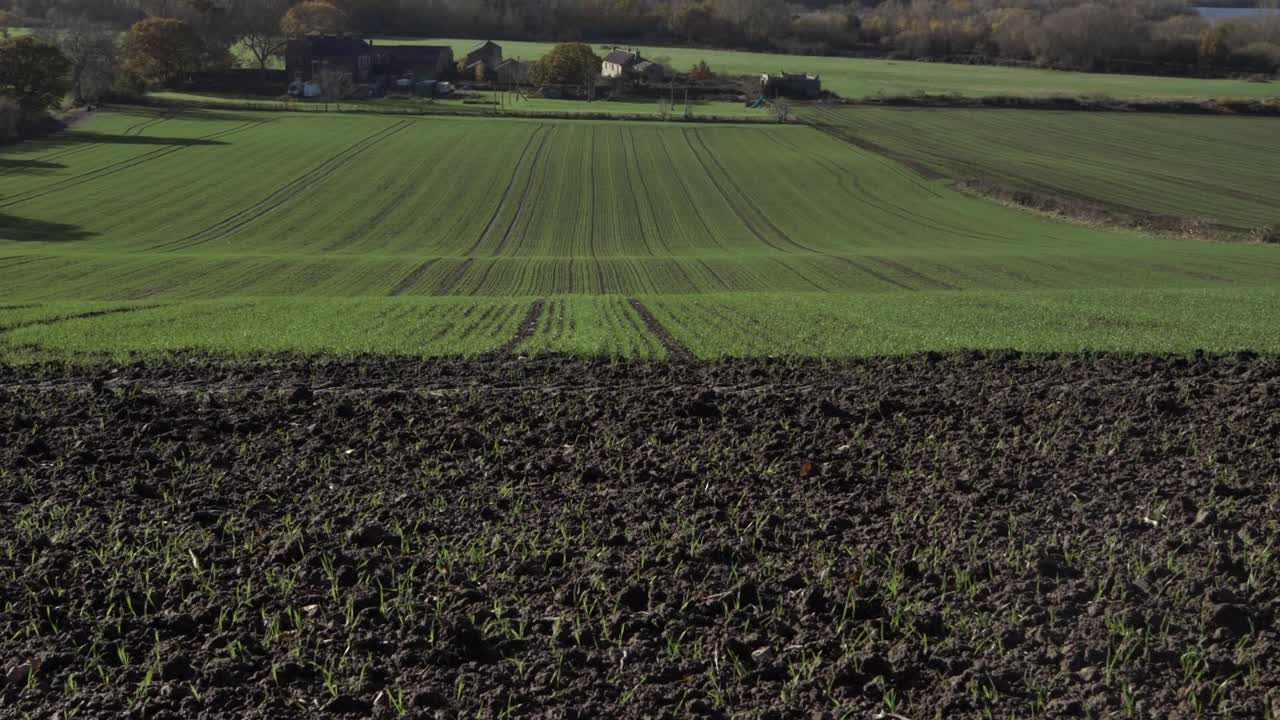 Ackerland in Yorkshire mit jungen Getreidesprossen, weite Landschaft, Kranaufnahme