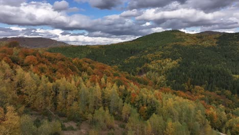 Wunderschöne-Herbstfarben-Vom-Himmel-Aus-Gesehen