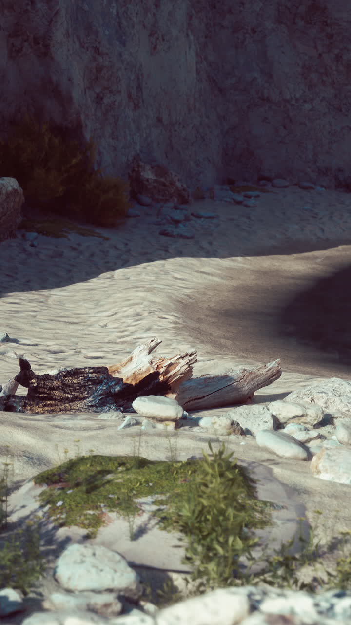 un tronco de madera a la deriva en una playa de arena