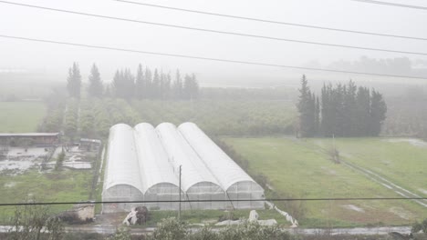 está lloviendo sobre el invernadero y los campos en un día brumoso