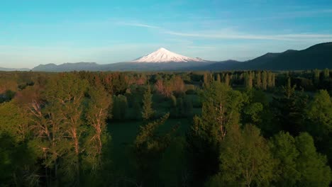 forward drone shot gliding over sunlit forest and fields toward the snow-capped villarica volcano under a clear blue sky at golden hour