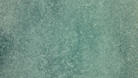 abstract underwater background. dirty water close up.