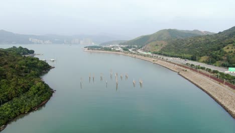 Hong-Kong-hidden-bay-in-Lantau-island-with-old-Tree-trunks-sticking-out-of-the-water,-Aerial-view