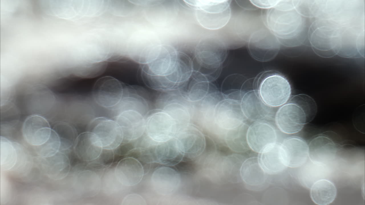 Out-of-focus blur of soft, circular light orbs moving around