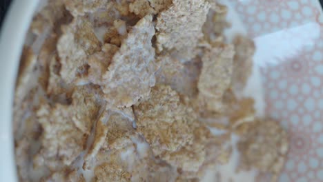 cereal with milk