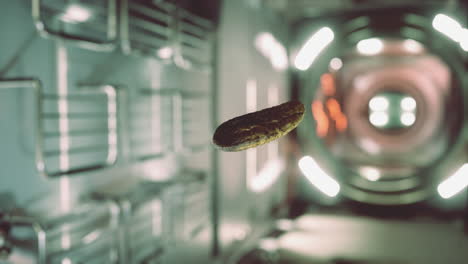 pepino encurtido marinado flotando en la estación espacial internacional