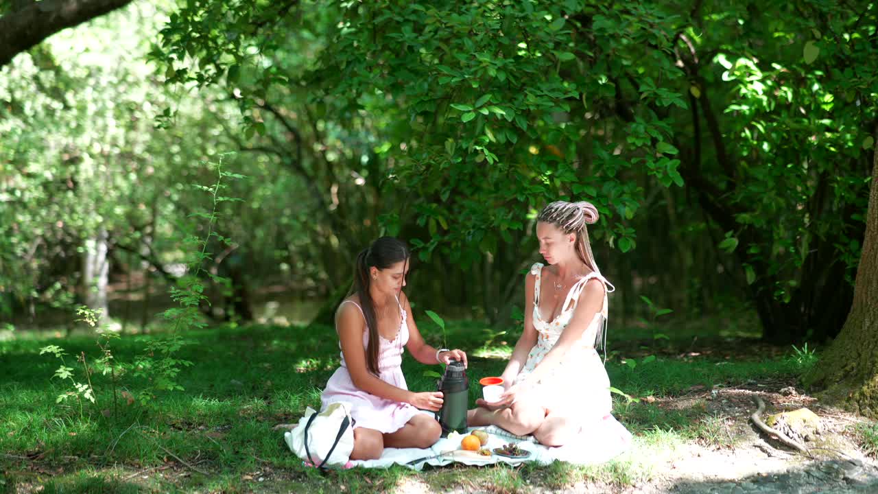 Women having a picnic in the park