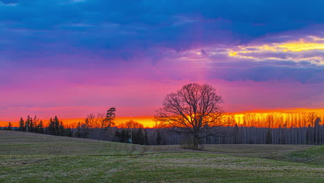 sunset timelapse on autumn woodland landscape