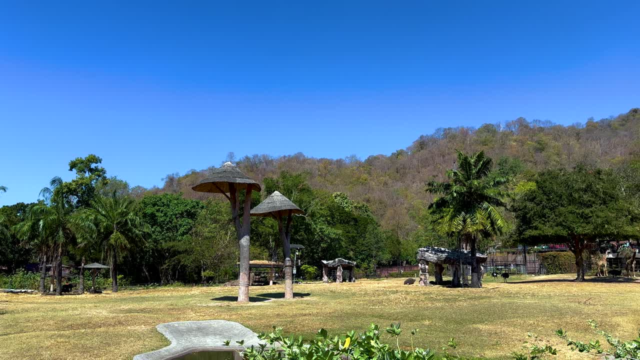 은 파란 하늘 아래의 나무와 언덕