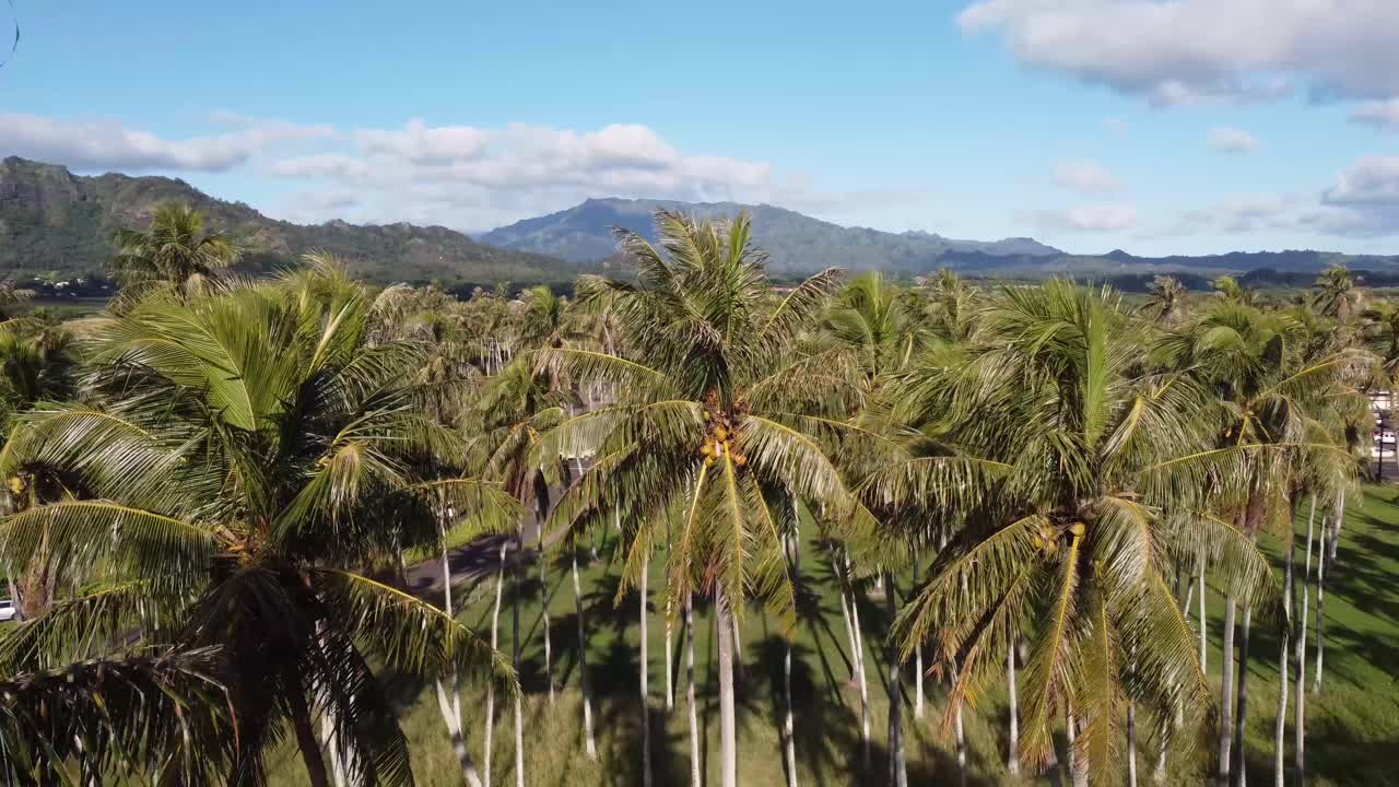 imágenes aéreas épicas de la naturaleza salvaje de kauai en la soleada isla de hawaii
