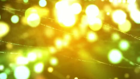luces bokeh coloridas gráficos de movimiento