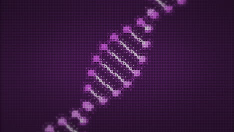 animación de adn de doble hélice digital 3d pixelado púrpura y blanco