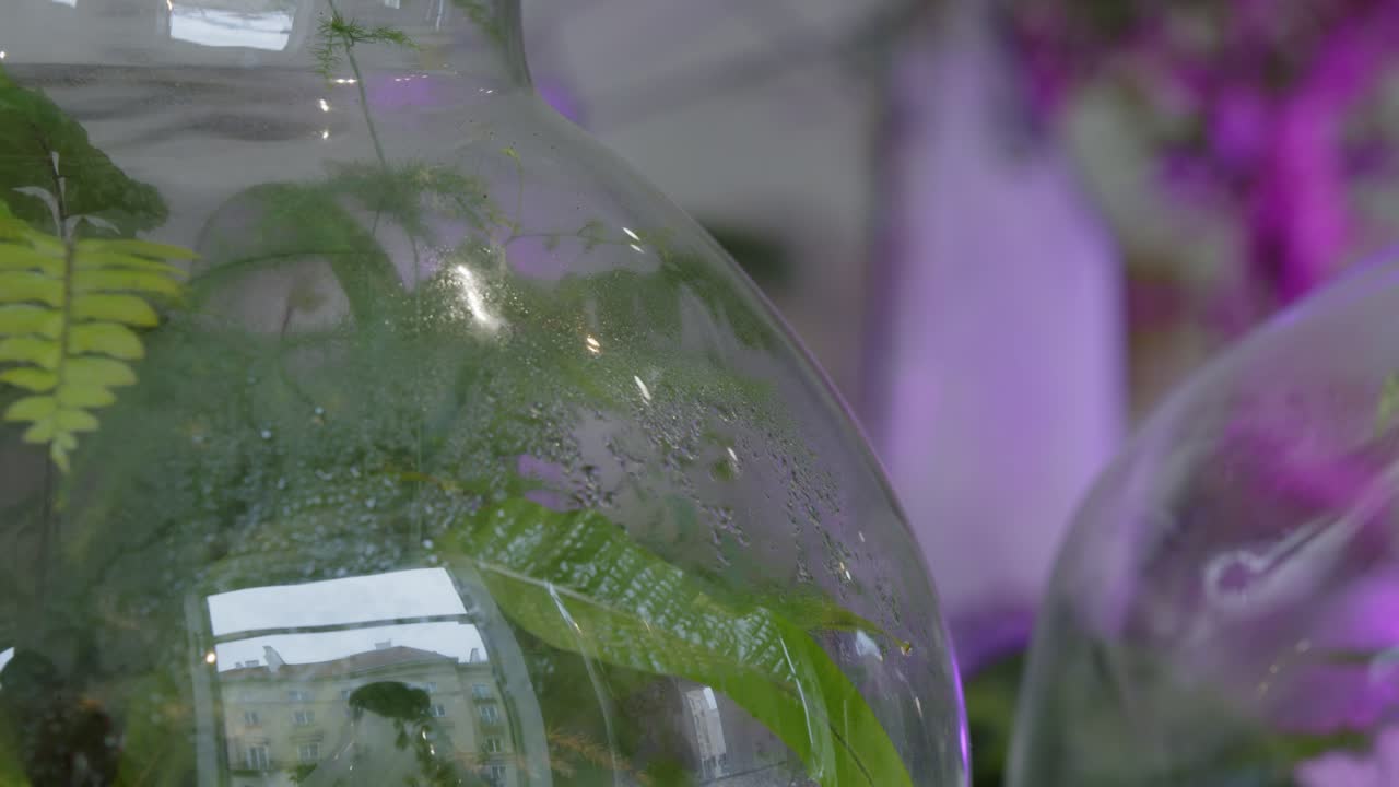 taller floral con ecosistemas diminutos en el terrario - tiro de carro con primer plano de enfoque de rack