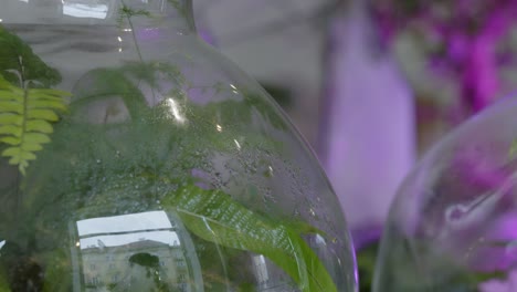 floral workshop with tiny ecosystems in the terrarium - dolly shot with rack focus close-up