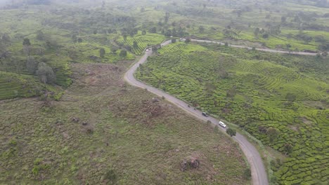 Hermosa-Vista-Del-Paisaje-Sobre-La-Plantación-De-Té