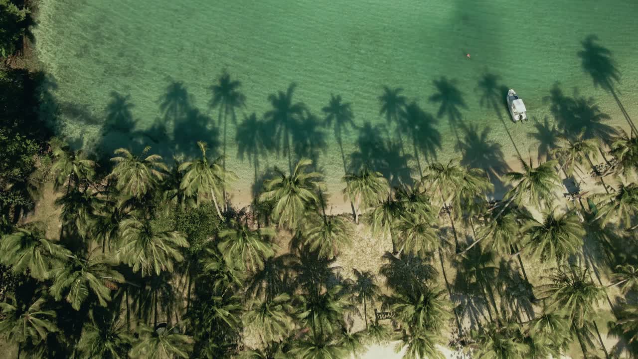 4K aerial footage of tropical beach with coconut palm trees and shadow of the palms in ocean in Thailand