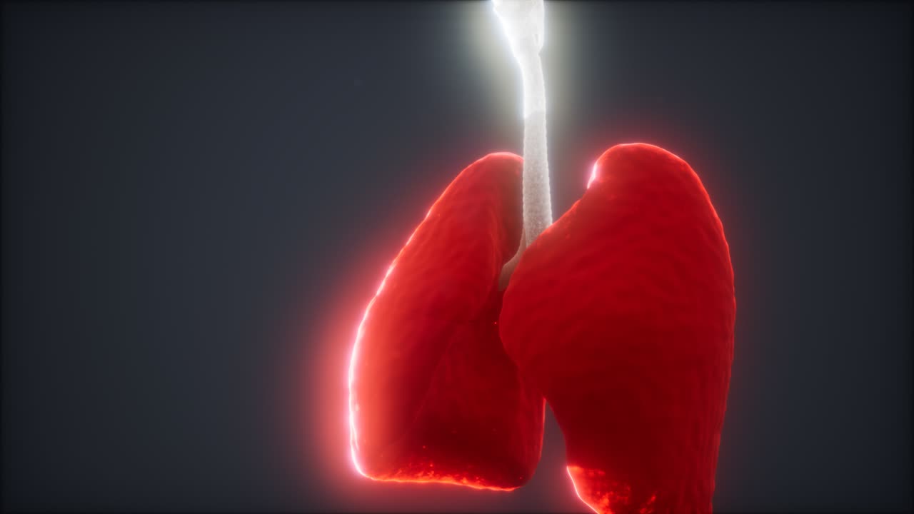 animación en 3d de los pulmones humanos