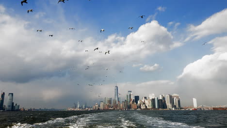 flock of seagulls flying above new york harbor with skyline of manhattan in the distance