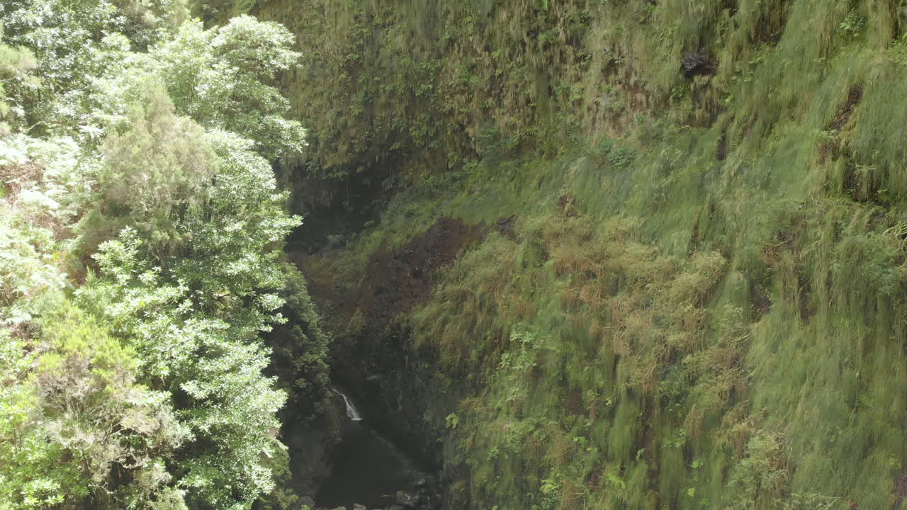 tiro con drones levadas madeira portugal