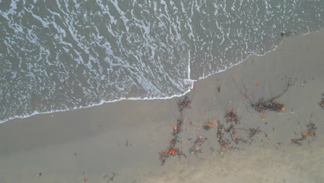 chapora beach closeup to wide bird eye view in goa india