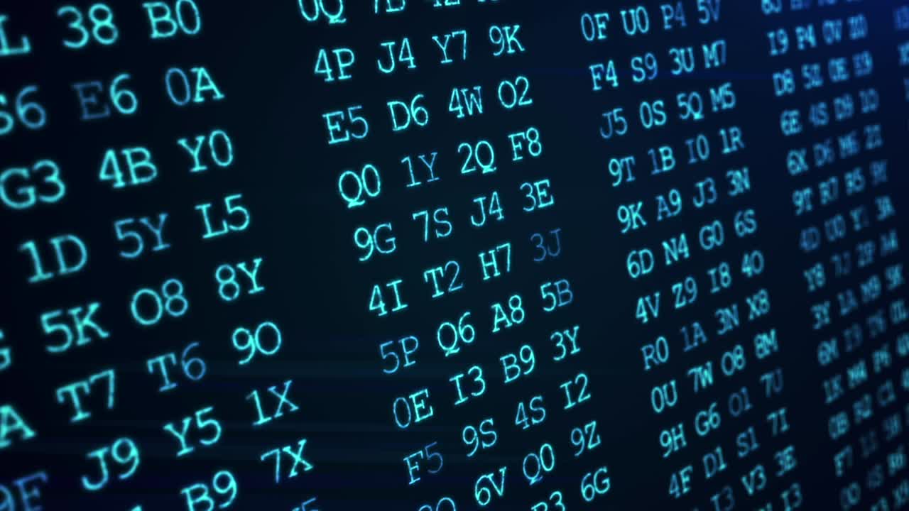 Computer Code and Digital Information