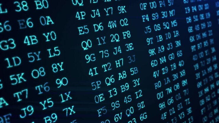 Computer Code and Digital Information