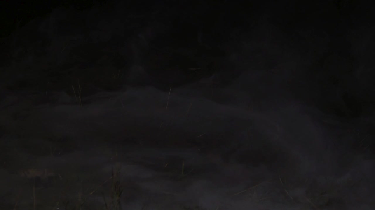 Una leggera nebbia si diffonde su un paesaggio oscuro di notte, creando un'atmosfera inquietante per Halloween, horror, thriller e produzioni cinematografiche