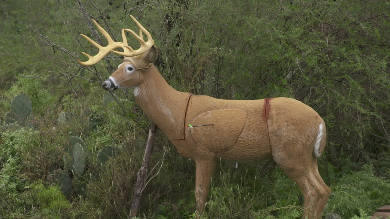 cámara lenta de una flecha golpeando un objetivo
